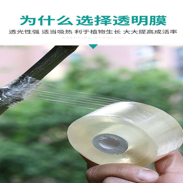 黑地膜价格 黑地膜价格