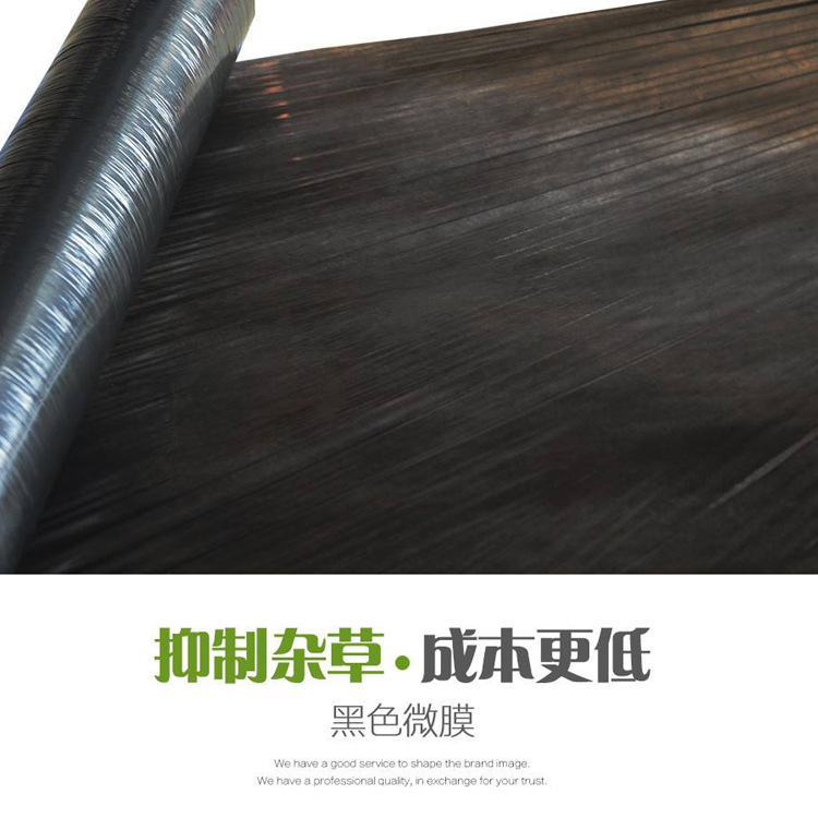 黑地膜 黑地膜