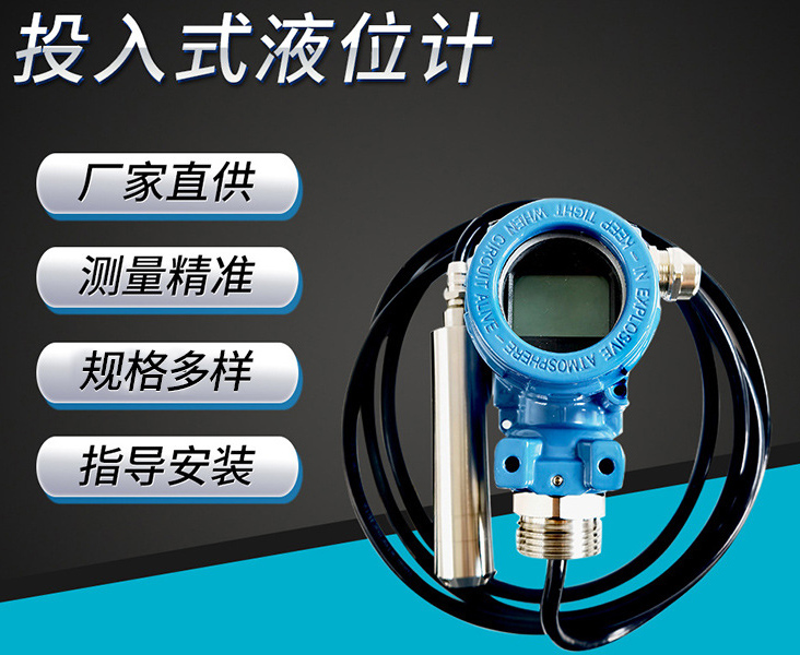 显示型投入式液位计