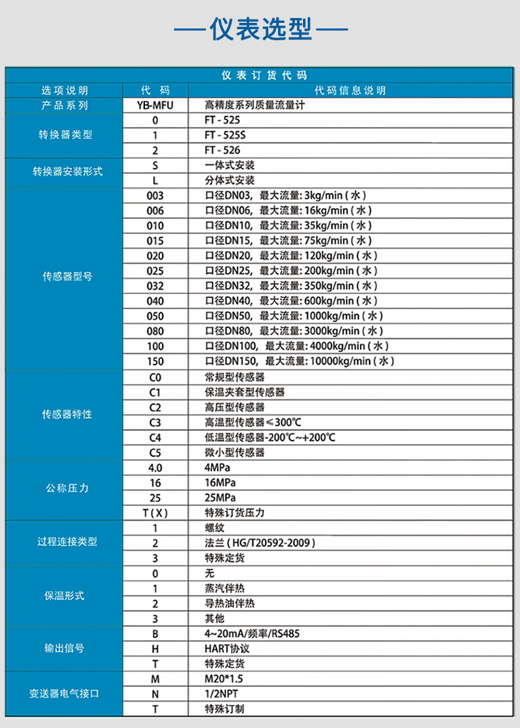 液氨质量流量计选项表