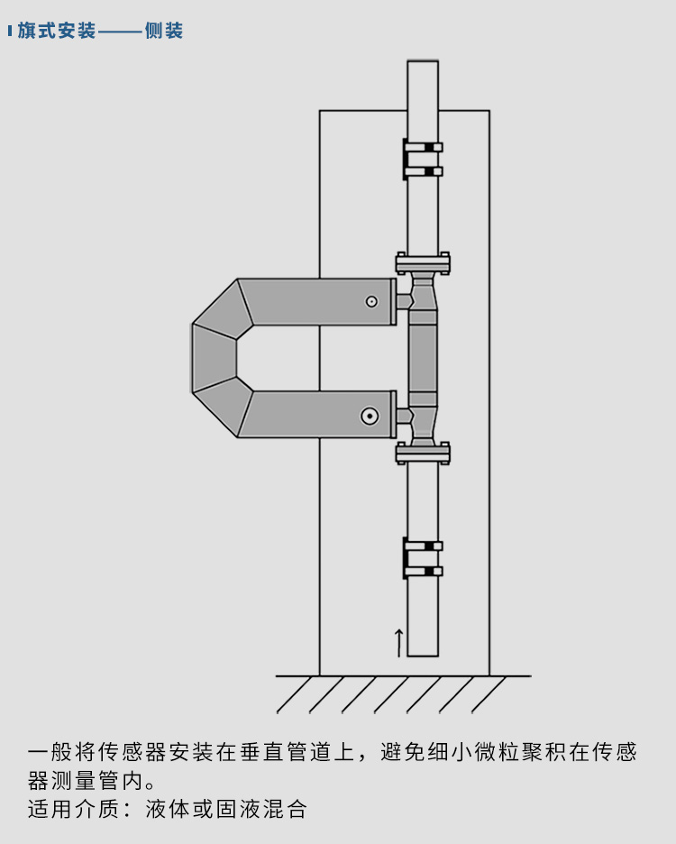 液氨质量流量计垂直安装示意图