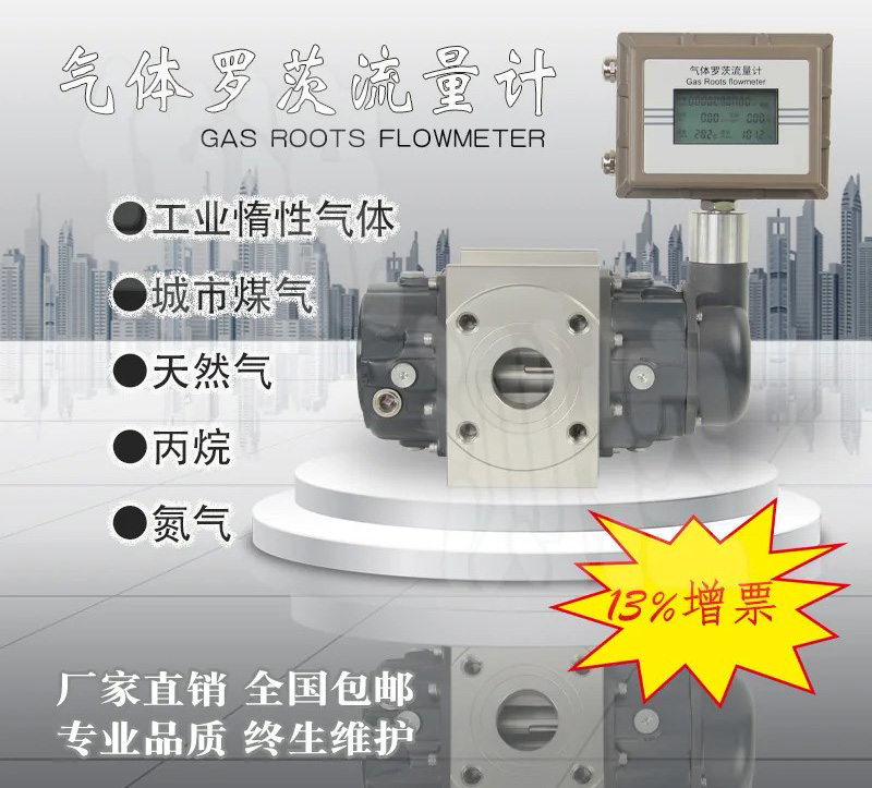 气体容积式流量计产品图